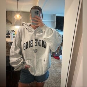 Anine Bing Gray Hoodie